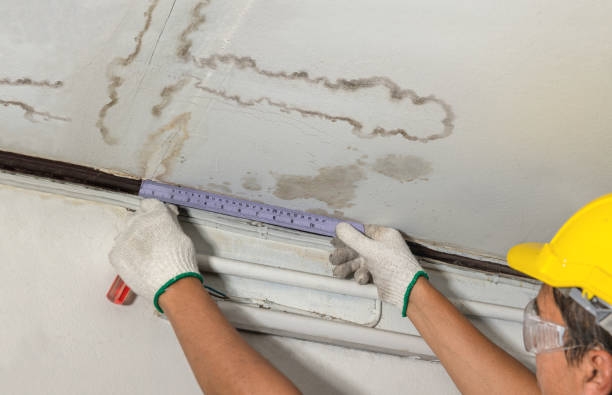 Reliable Mold Remediation contractor in Gorham, ME by Water Damage Irwin